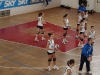 DSC01631